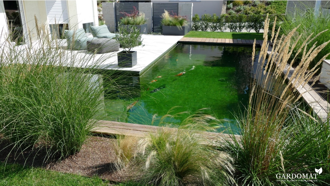 Moderner Garten mit Koiteich