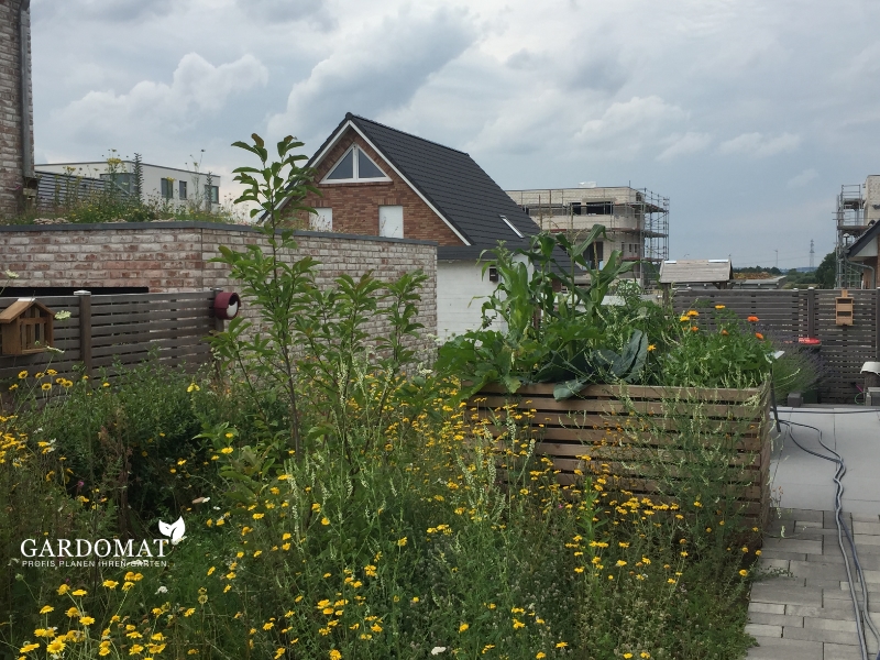 Natürlich moderner Garten 