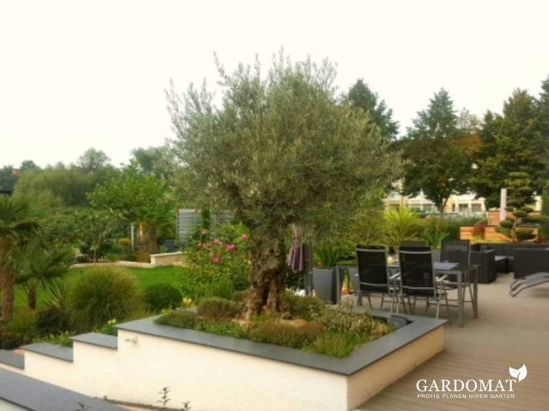 Gartengestaltung im mediterranen-modernen Stil