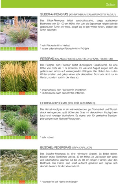 Beetplanung Vorgarten