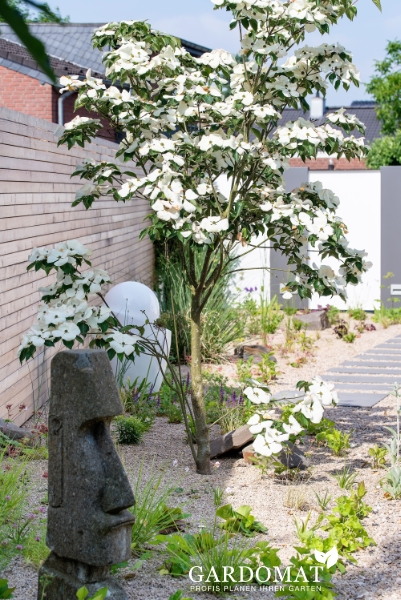 Moderne Gartengestaltung mit Wasserelementen