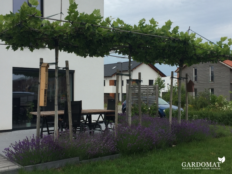 Natürlich moderner Garten 
