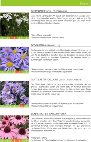 Beetplanung Vorgarten