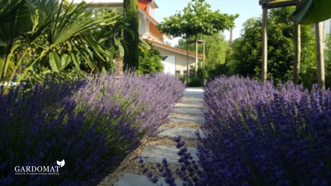 Gartengestaltung im mediterranen-modernen Stil