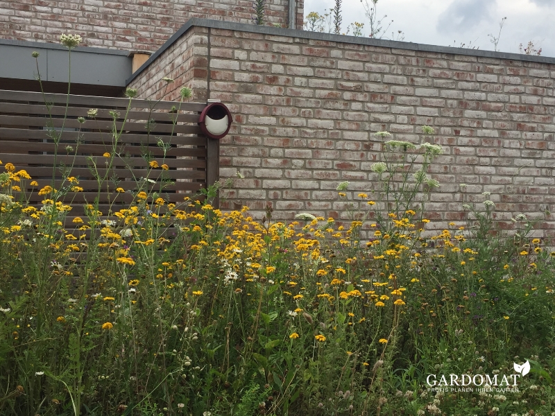 Natürlich moderner Garten 