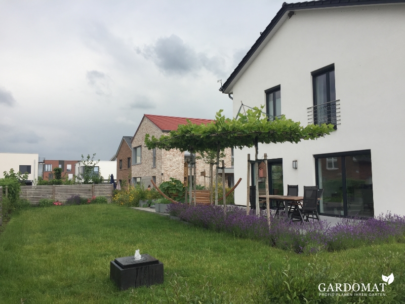 Natürlich moderner Garten 